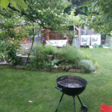 Peter Hofling * Wertheim