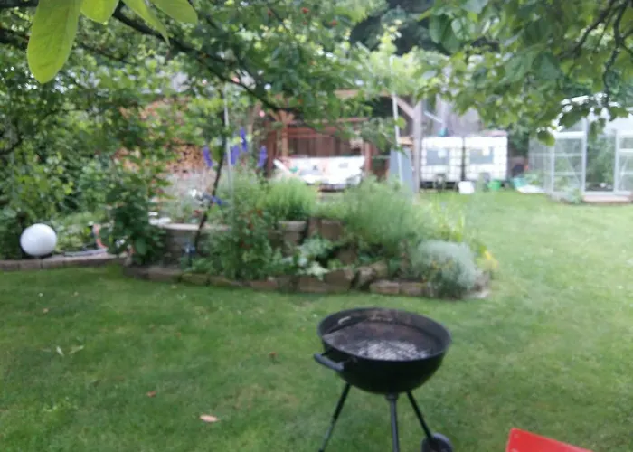 Peter Hofling * Wertheim